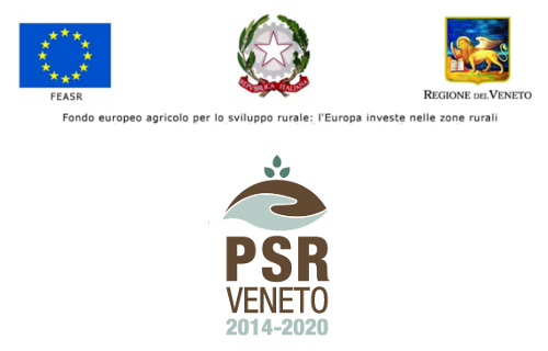 Fondo Europeo agricolo zone rurali
